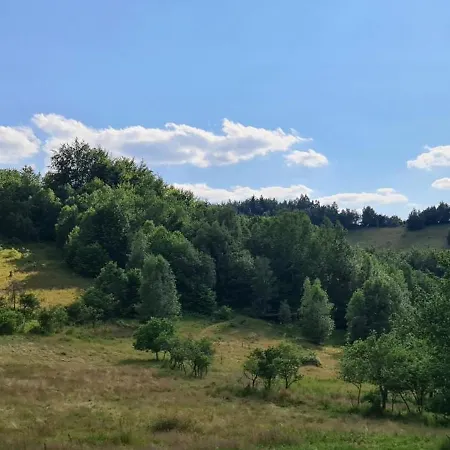 Domek Nad Rzeka * Lacko (Nowy Sacz)