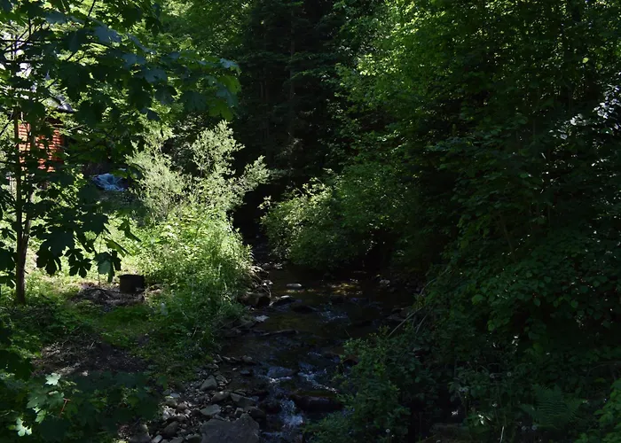 Dom wakacyjny Domek Nad Rzeka Lacko (Nowy Sacz)